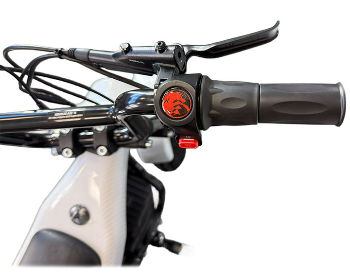 Electric Mini Bike, TT750R Lithium Ion Powered (Color: Gloss Carbon Fiber)