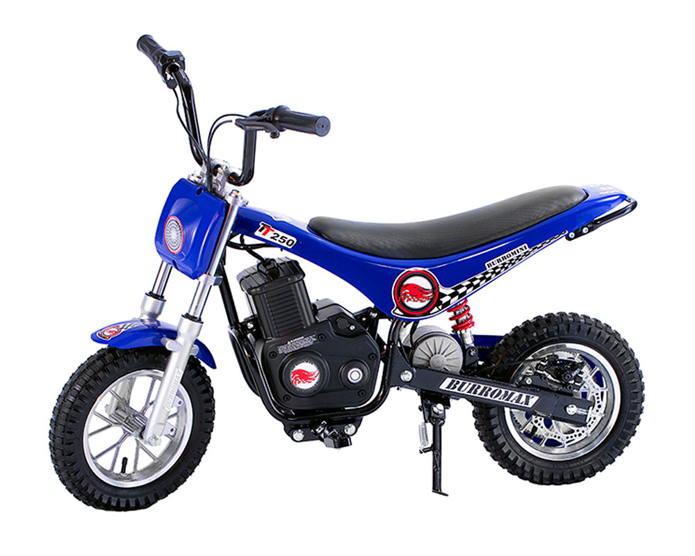 Electric Mini Bike, TT250 (Color: Black)