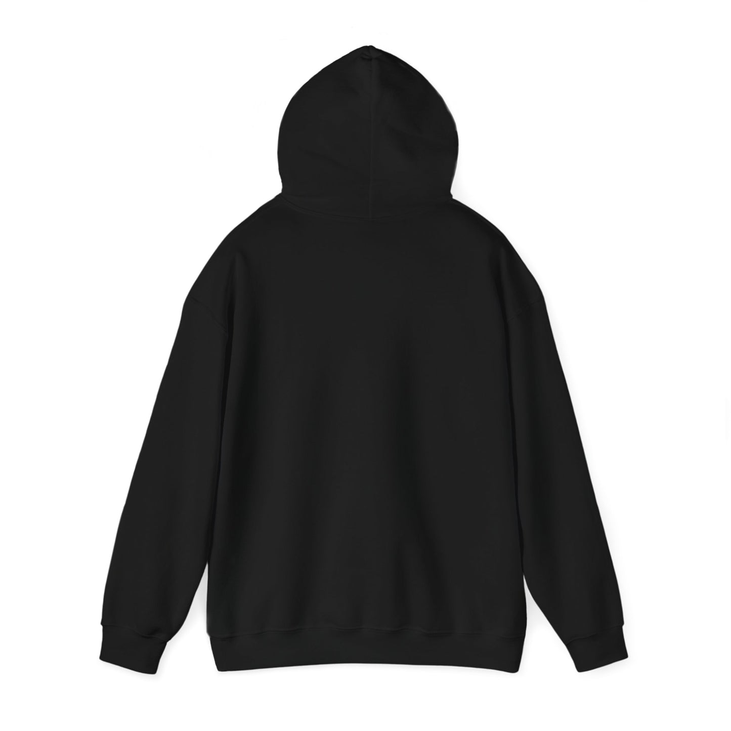 Modified Razor Mini Electric Dirt Bike Community Hoodie