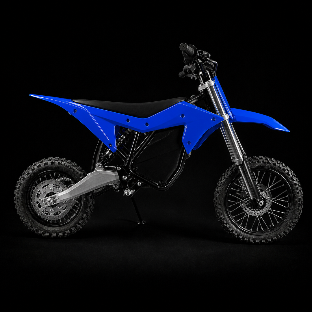 Electro & Co. ETM RTR Sport 72V - Pick Your Color!