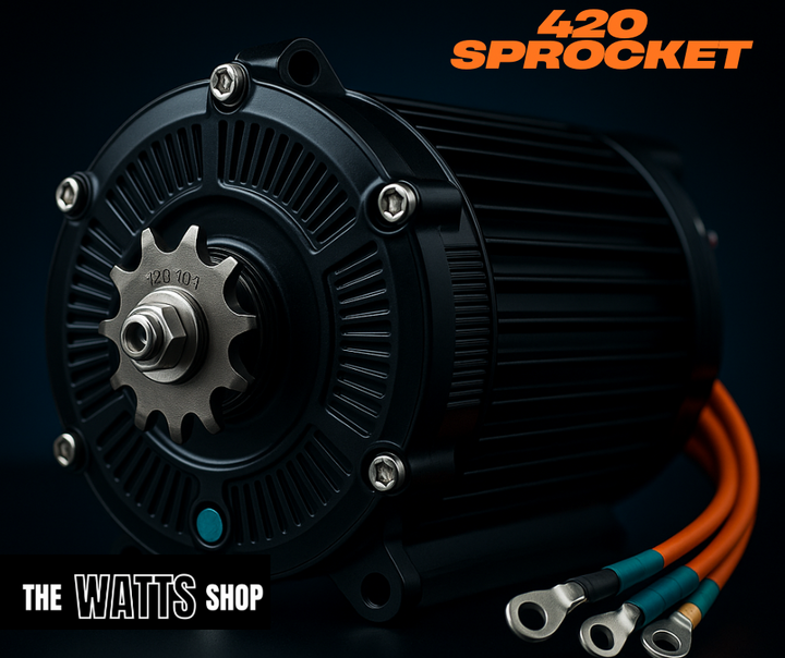 High Performance Sotion FW22 Motor For Valtinsu IN 10, EM-5, Pit Bike