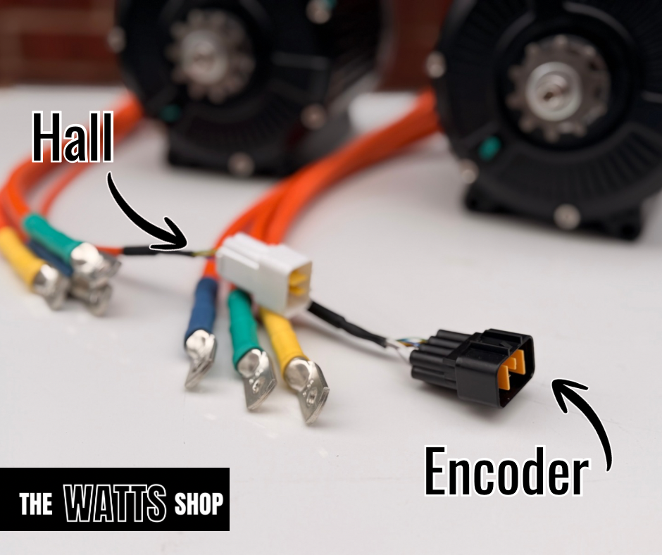 Wiring harness with labeled 'Hall' and 'Encoder' connectors on a white background.