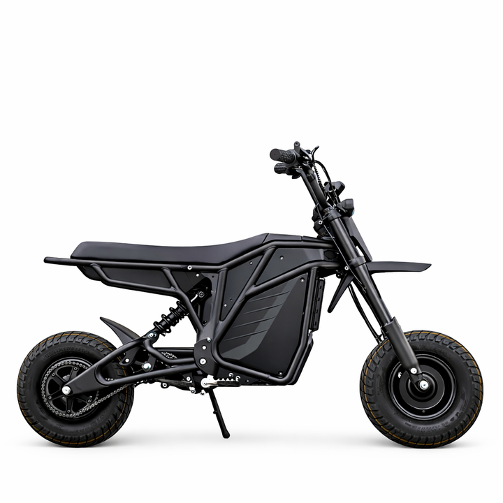 Electro & Co. Rizzler Sport 72 Volt