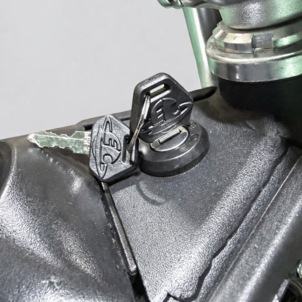 Electro & Co. ETM RTR Sport - Pick Your Color!