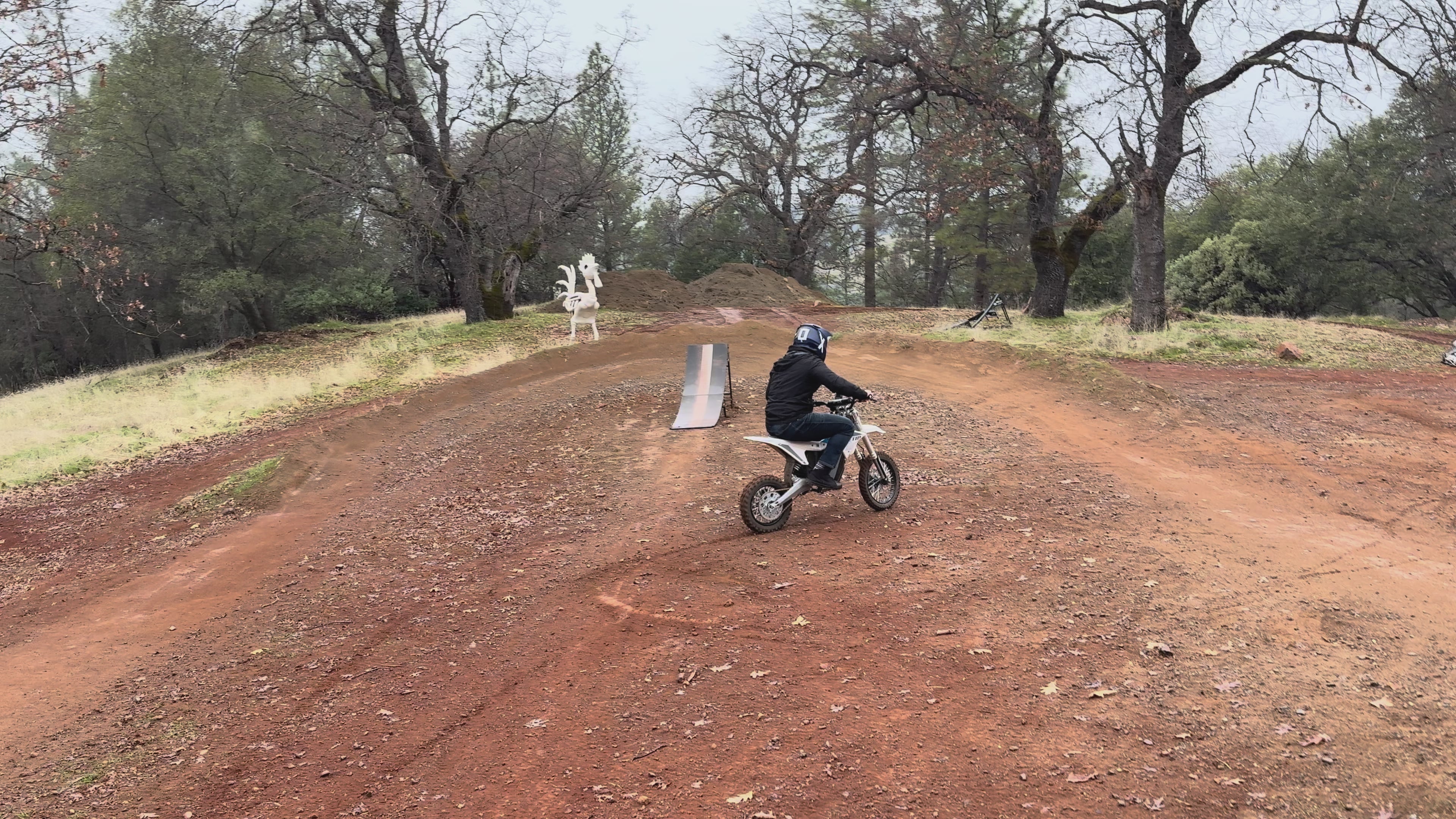 electric dirt bike ETM RTR